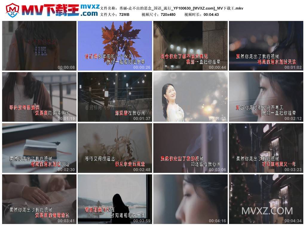 秀丽-走不出的思念_国语_流行_YF100630